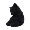 Daydream 13cm Cats Gifts Under £100