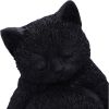 Daydream 13cm Cats Gifts Under £100