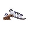 Feathered Broomstick 26cm Owls Chouettes
