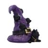Magical Mischief 14cm Cats Gardiens de coven