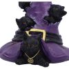 Magical Mischief 14cm Cats Gardiens de coven