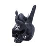 Horns Up 17.5cm Skulls Halloween RRP Below 20