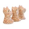 Three Wise Ginger Cats 8.5cm Cats NEMESIS NOW | EASTER SALE