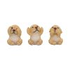 Three Wise Golden Labradors 7.5cm Dogs NEMESIS NOW | EASTER SALE