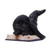 Potion Pair 10.5cm Cats Gardiens de coven