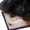 Potion Pair 10.5cm Cats Gardiens de coven