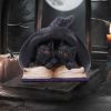 Potion Pair 10.5cm Cats Gardiens de coven