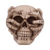 Cracked 15cm Skulls Halloween Party