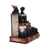 Coven Keepers (Display Stand with 36pcs) Cats Top 200 None Licensed