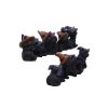 Coven Keepers (Replacement Cats 12pcs) 6cm Cats Out Of Stock