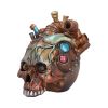 Cardiac Cranium 17.5cm Skulls Gifts Under £100