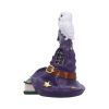 The Witching Perch 18.5cm Owls Gifts Under £100