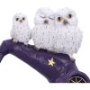 The Witching Perch 18.5cm Owls Gifts Under £100