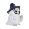 Archimedes 8.5cm Owls Gifts Under £100