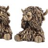 Three Wise Gold Highland Cows Indéterminé Gifts Under £100