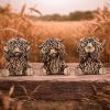 Three Wise Gold Highland Cows Indéterminé Gifts Under £100
