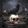 Nevermore Vigil Ravens New Arrivals