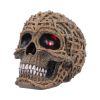 Rooted Remains Skulls Gifts Under £100