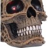 Rooted Remains Skulls Gifts Under £100