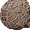 Rooted Remains Skulls Gifts Under £100