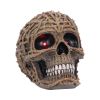 Rooted Remains Skulls Gifts Under £100