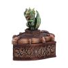Hoard Defender Box (Green) Dragons New Arrivals