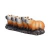 Capybara Herd Animals New Arrivals