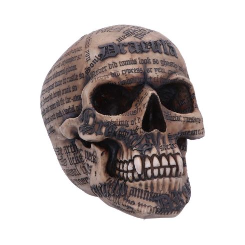 Draculas Tale 18.5cm Skulls Halloween RRP Above 20