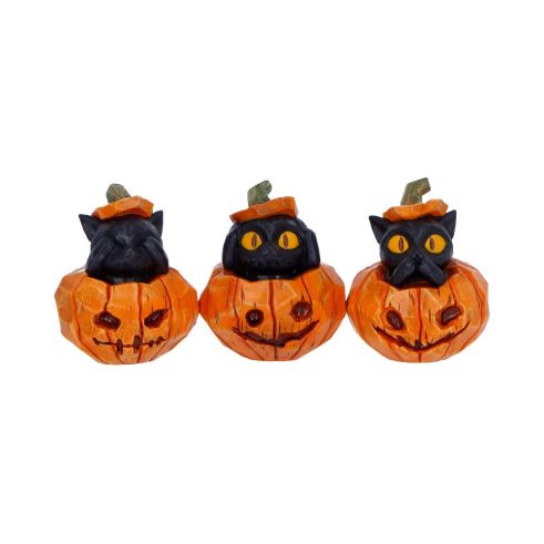 Three Wise Pumpkin Patch Cats Spooky Season