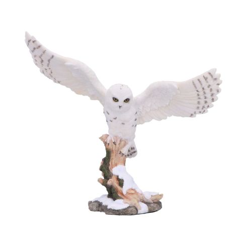 Snowfall 18cm Owls NEMESIS NOW | EASTER SALE
