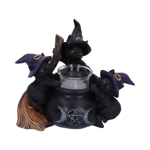 Familiar Cauldron 12.5cm Cats NEMESIS NOW | EASTER SALE