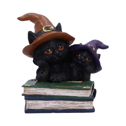 Duo Divination 10cm Cats Gardiens de coven