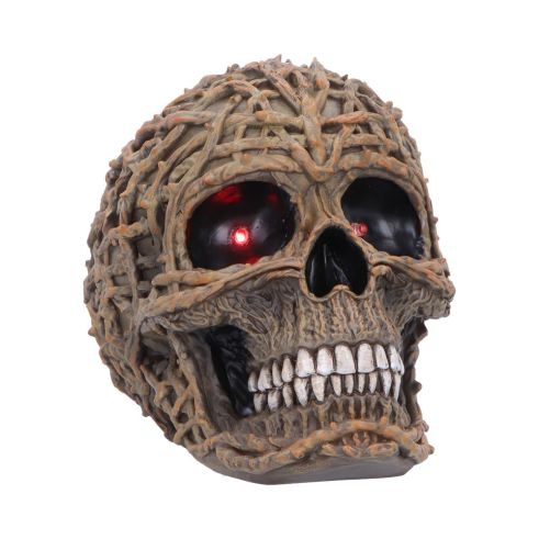 Rooted Remains Skulls Gifts Under £100