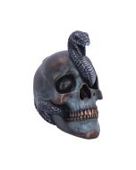 Serpentine Fate 19cm Skulls Articles en Vente