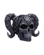 Drop Dead Gorgeous - Solve and Coagula 20.5cm Skulls Halloween RRP Above 20