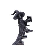 Little Souls - Luna 15cm Witches Top 200 None Licensed