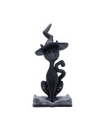 Conjure 15.2cm Cats Spell Cats