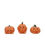 Three Wise Pumpkins 8cm Horror Stock Release Winter 2025 Launch
