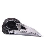 Quoth The Raven 20.2cm Ravens Gifts Under £100