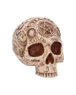Apothecary Skulls Gifts Under £100