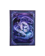 Welcome Hatchling Journal (AS) 17cm Dragons New Arrivals
