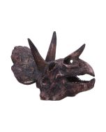 Triceratops Skull 14.5cm Dinosaurs Top 200 None Licensed