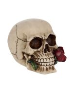 Rose From the Dead 15cm Skulls Articles en Vente