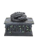 Dragon Tarot Card Box 18cm Dragons Easter