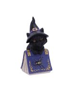 Pocus 12.7cm Cats Stock Arrivals