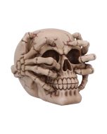 Cracked 15cm Skulls Halloween Party
