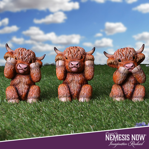 Back In Stock | Three Wise Highland Cows