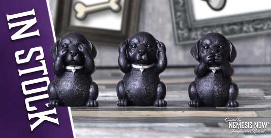Three Wise Labradors | In Stock