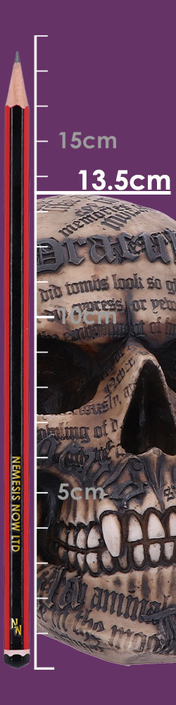 Draculas Tale 18.5cm