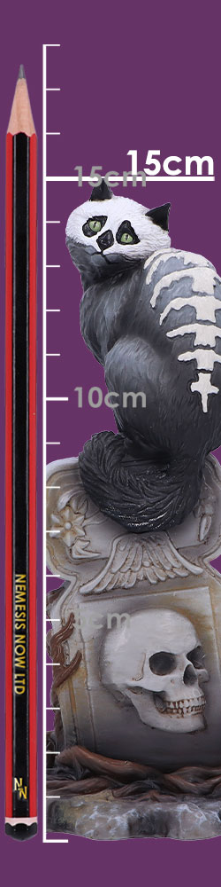 Skull Cat by Martin Hanford 15cm